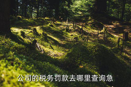 如何查稅收違法記錄，公司的稅務(wù)罰款去哪里查詢急