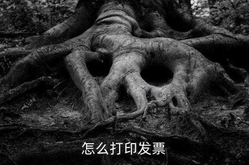 億企贏攜稅寶發(fā)票如何打印，這樣怎么打印電子發(fā)票