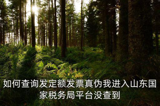 公交卡定額發(fā)票如何查詢真?zhèn)?，如何查詢發(fā)定額發(fā)票真?zhèn)挝疫M(jìn)入山東國家稅務(wù)局平臺沒查到