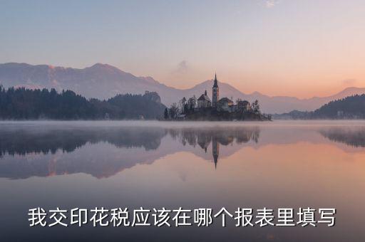 我交印花稅應(yīng)該在哪個報(bào)表里填寫