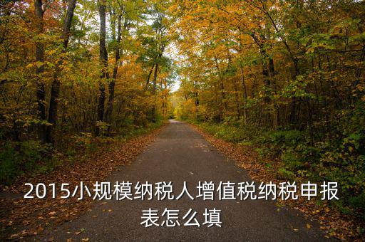 小規(guī)模納稅人國稅申報表如何填，小規(guī)模納稅人的報表怎么填