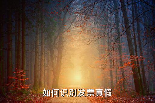 深圳國稅局發(fā)票如何查詢真?zhèn)尾樵?，如何在認(rèn)證前查驗發(fā)票真?zhèn)?/></a></span><span id=