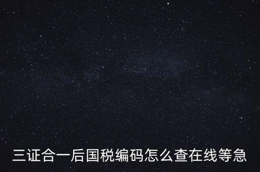 如何查詢(xún)個(gè)人稅務(wù)編號(hào)查詢(xún)系統(tǒng)，請(qǐng)問(wèn)在哪里可以查到納稅人編碼