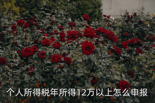 陜西地稅 12萬以上如何申報(bào)，個(gè)人所得稅年所得12萬以上怎么申報(bào)