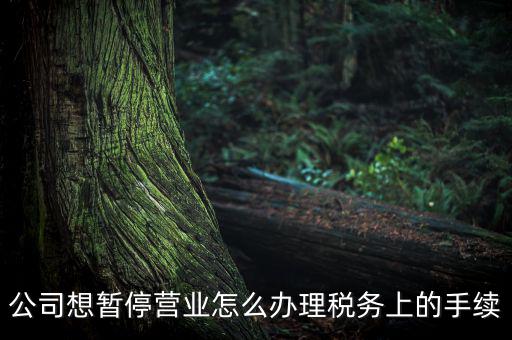 北京市如何辦理單位稅務暫停，企業(yè)暫停營業(yè)怎么辦理