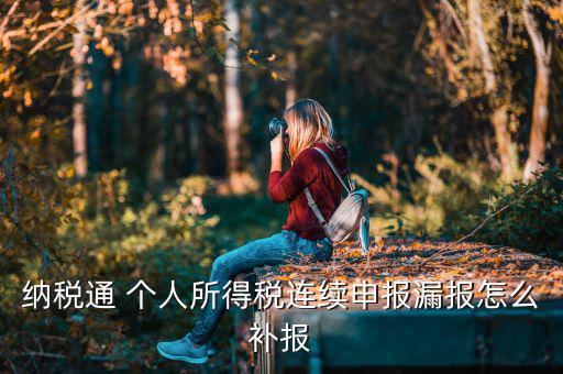 源泉扣繳如何補申報，個人所得稅代扣代繳系統(tǒng) 補申報怎樣操作