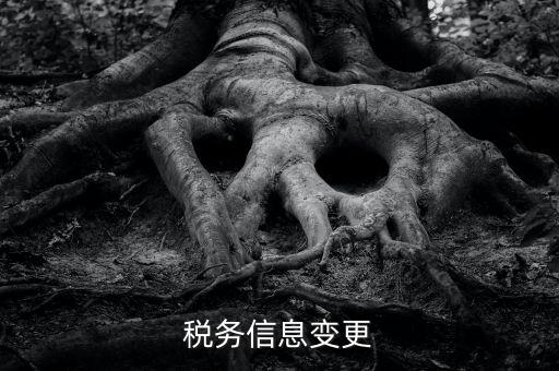 地稅如何變更人員信息查詢，浙江地稅開票軟件開票人怎么更改