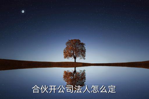 合伙開(kāi)公司法人怎么定