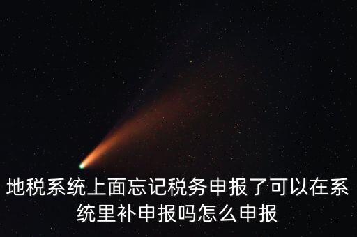 地稅如何補充申報表，地稅系統(tǒng)上面忘記稅務申報了可以在系統(tǒng)里補申報嗎怎么申報