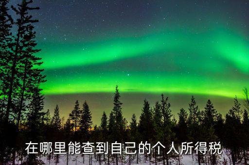 稅務(wù)如何查個(gè)稅，個(gè)稅怎么查