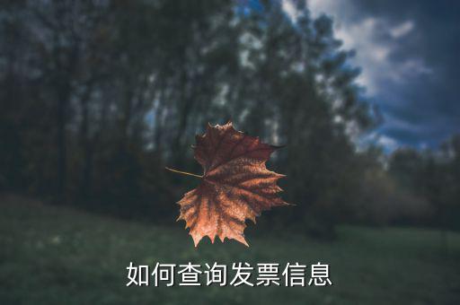 開票系統(tǒng)如何查詢票種，如何從金稅盤中看出公司票種