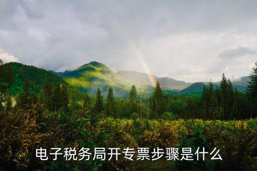 山西省稅務(wù)局網(wǎng)上如何開專票，如何開增值稅專用發(fā)票