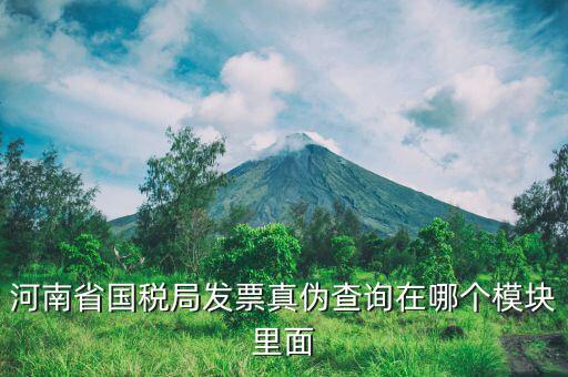 河南省國稅局發(fā)票真?zhèn)尾樵冊谀膫€(gè)模塊里面