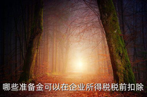金融企業(yè)貸款損失準備金如何稅前扣除，哪些準備金可以在企業(yè)所得稅稅前扣除