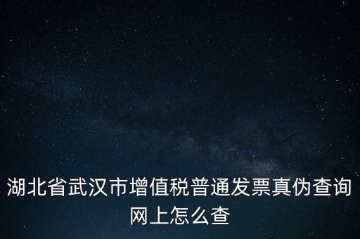 湖北省武漢市增值稅普通發(fā)票真?zhèn)尾樵兙W上怎么查