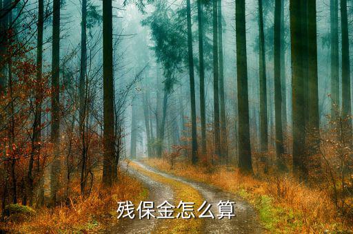 2016年四川殘保金如何計(jì)算，殘保金計(jì)算問題 急