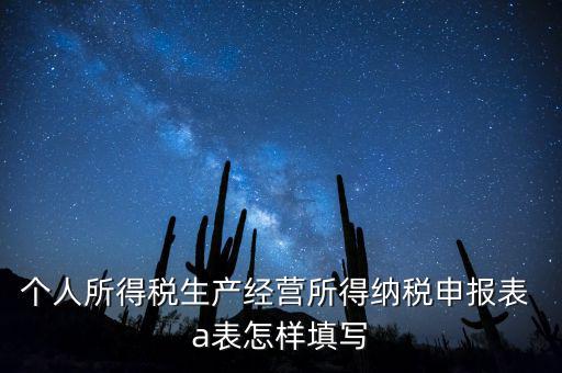 個(gè)人經(jīng)營(yíng)所得申報(bào)表a表如何填，個(gè)人所得稅經(jīng)營(yíng)所得稅申報(bào)表a表怎么填
