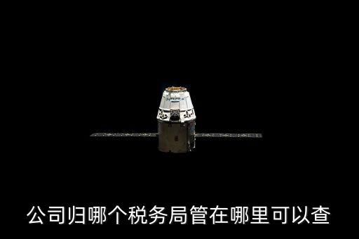 公司歸哪個稅務局管在哪里可以查