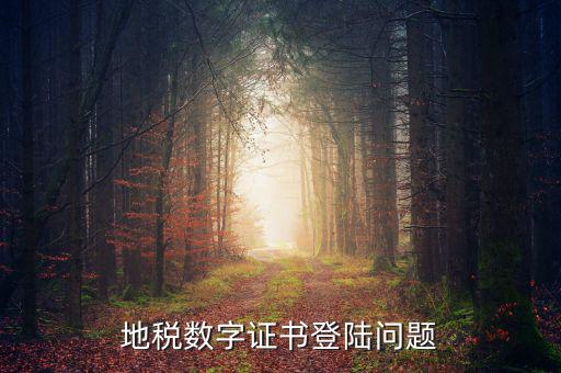 ?？诘囟惾绾蝐a證書登陸，地稅客戶端無法登錄顯示的不是登錄CA證書代碼