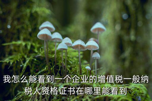 增值稅一般納稅人資格如何查詢，重慶國(guó)稅網(wǎng)如何查詢企業(yè)是否一般納稅人