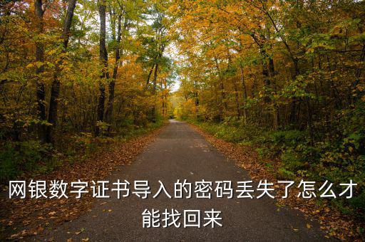 數(shù)字證書密碼錯(cuò)誤如何找回，營業(yè)執(zhí)照數(shù)字證書密碼忘記了 怎么辦