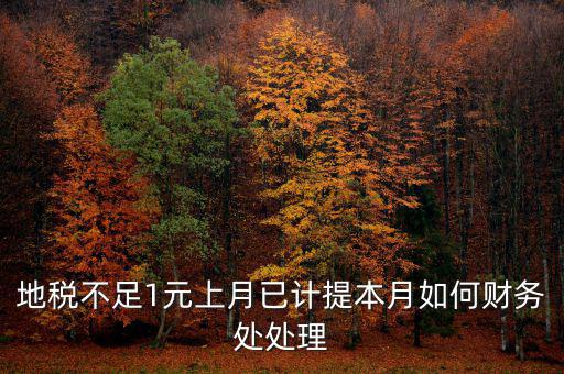 財務處如何落實數(shù)據(jù)地稅，地稅不足1元上月已計提本月如何財務處處理