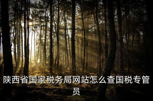 陜西省國家稅務(wù)局網(wǎng)站怎么查國稅專管員