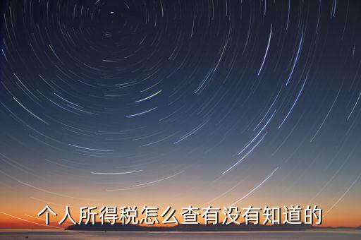 張家港個(gè)人所得稅如何查詢，個(gè)人所得稅怎么查有沒有知道的