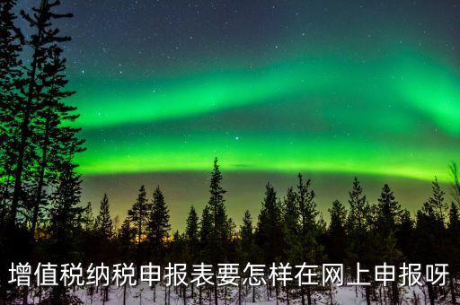 增值稅網(wǎng)上如何申報系統(tǒng)，增值稅納稅申報表要怎樣在網(wǎng)上申報呀