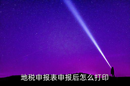 地稅如何打印申報(bào)表，地稅納稅申報(bào)表怎么打印
