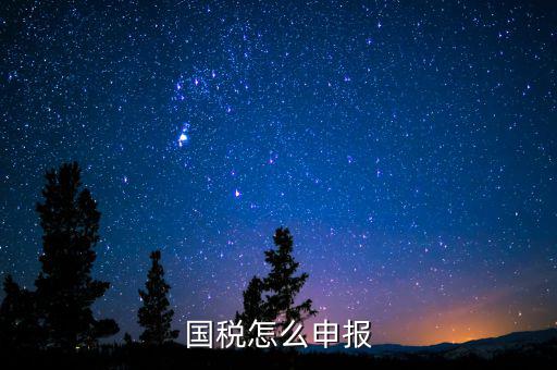 北京國(guó)稅如何登陸申報(bào)，國(guó)稅如何網(wǎng)上零申報(bào) 具體步驟有五個(gè)