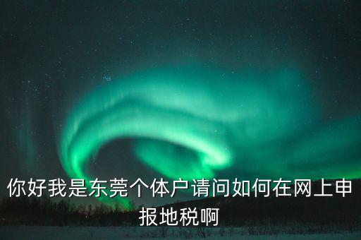 東莞個稅如何申報，你好我是東莞個體戶請問如何在網上申報地稅啊