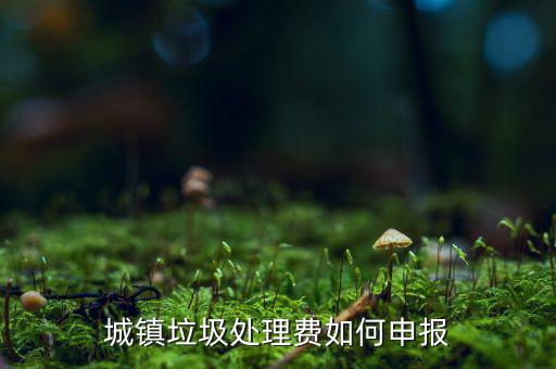 城市生活垃圾費(fèi)如何申報(bào)，城鎮(zhèn)垃圾處理費(fèi)如何申報(bào)
