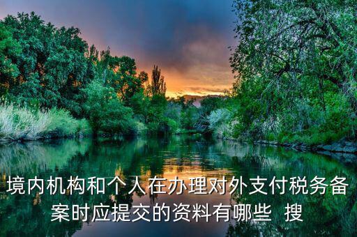 如何填列對(duì)外支付稅務(wù)備案表，境內(nèi)機(jī)構(gòu)和個(gè)人在辦理對(duì)外支付稅務(wù)備案時(shí)應(yīng)提交的資料有哪些  搜