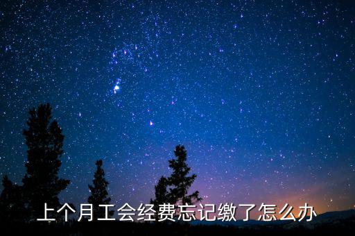 如何補(bǔ)繳上月工會(huì)經(jīng)費(fèi)地稅，工會(huì)經(jīng)費(fèi)上月已申報(bào)但未繳費(fèi)本月可以補(bǔ)交嗎在哪里補(bǔ)交是在報(bào)稅系統(tǒng)
