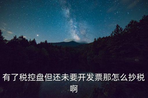 稅控盤(pán)如何抄報(bào)稅，有了稅控盤(pán)但還未要開(kāi)發(fā)票那怎么抄稅啊
