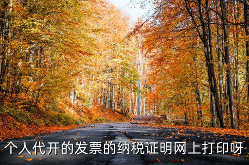 個(gè)人代開的發(fā)票的納稅證明網(wǎng)上打印呀