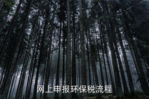 電子稅務(wù)局環(huán)保稅如何申報(bào)，2021年環(huán)保稅怎么申報(bào)