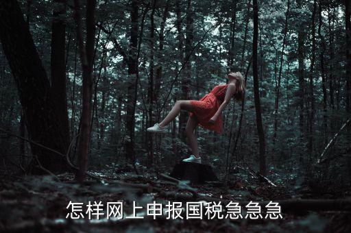 國稅網(wǎng)上稅務(wù)如何申報(bào)，怎樣網(wǎng)上申報(bào)國稅急急急