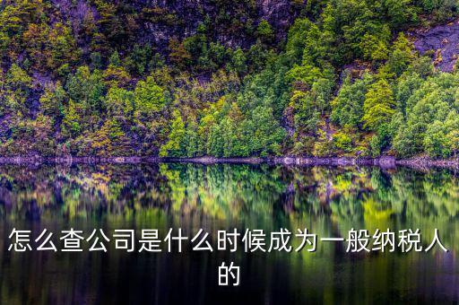 如何查詢一般人納稅認(rèn)定時(shí)間，怎么查公司是什么時(shí)候成為一般納稅人的