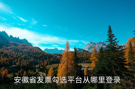 安徽省如何在網(wǎng)上申請購發(fā)票，安徽省發(fā)票勾選平臺從哪里登錄