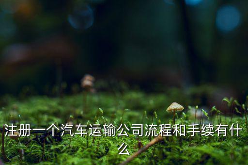 注冊一個(gè)汽車運(yùn)輸公司流程和手續(xù)有什么