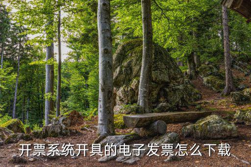 發(fā)票助手如何安裝在手機(jī)上，增值稅發(fā)票稅控開(kāi)票軟件怎么安裝