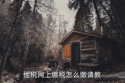 地稅如何交稅嗎，地稅網(wǎng)上繳稅怎么繳請(qǐng)教