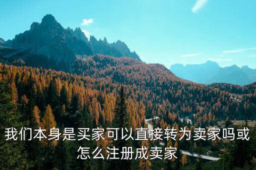 我們本身是買家可以直接轉為賣家嗎或怎么注冊成賣家