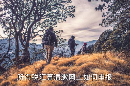 清稅申請(qǐng)如何在云稅廳申請(qǐng)，網(wǎng)上企業(yè)所得稅匯算清繳如何申報(bào)