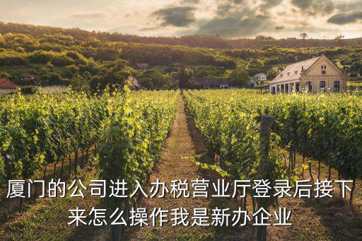 廈門公司如何辦理稅務(wù)，廈門公司如何申請一般納稅人