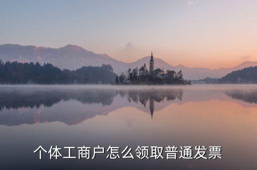 個體工商戶怎么領(lǐng)取普通發(fā)票