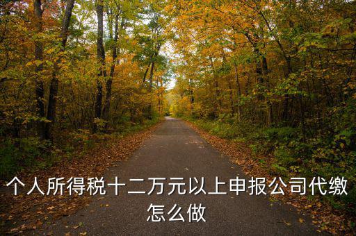 如何做好12萬元申報(bào)征收工作，個(gè)人所得稅十二萬元以上申報(bào)公司代繳怎么做