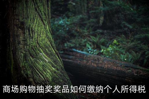 商場購物抽獎(jiǎng)獎(jiǎng)品如何繳納個(gè)人所得稅